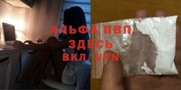 МДПВ Каменка
