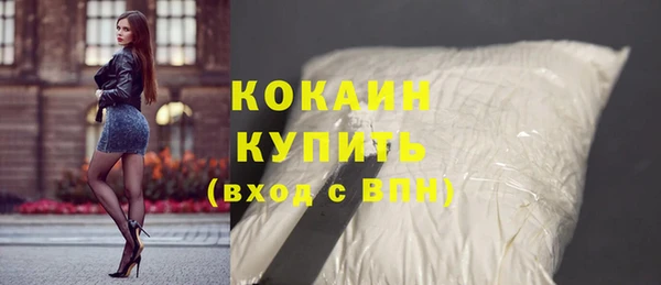 МДПВ Каменка