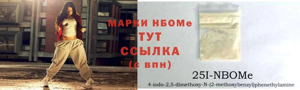 МДПВ Каменка