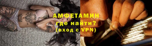 МДПВ Каменка