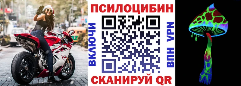 Галлюциногенные грибы Cubensis  Купить закладки  Пошехонье 